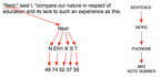 description_diagram1.png